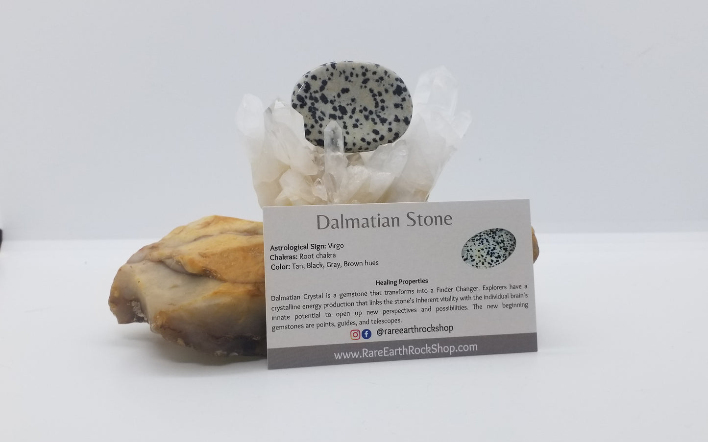 Dalmatian Worry Stone