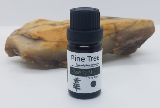 Pine Tree Essential Oil
