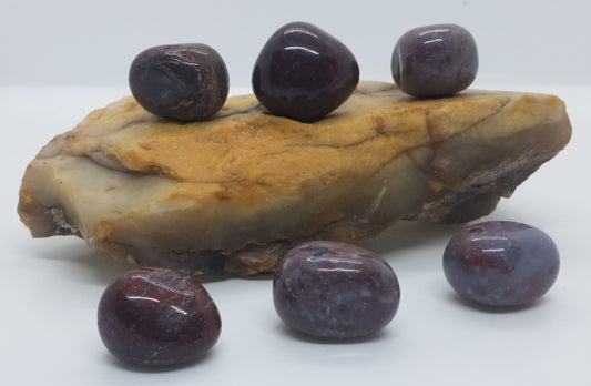 Ocean Jasper Tumbled Stone