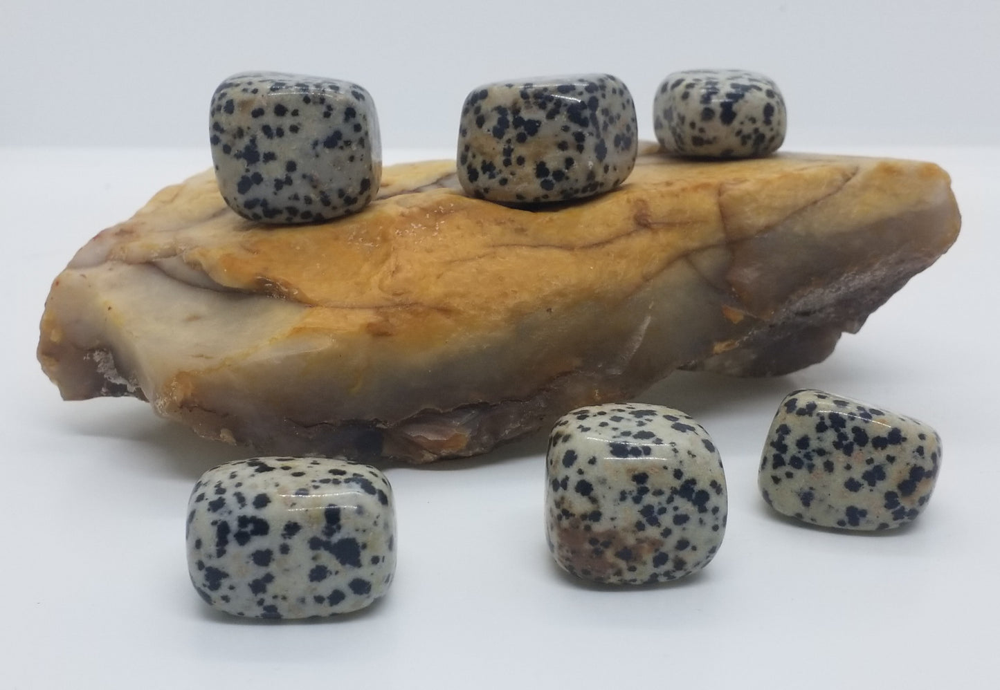 Dalmatian Jasper Tumbled Stone