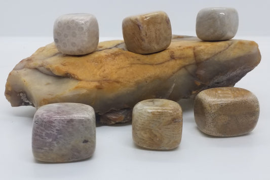 Chrysanthemum Tumbled Stone