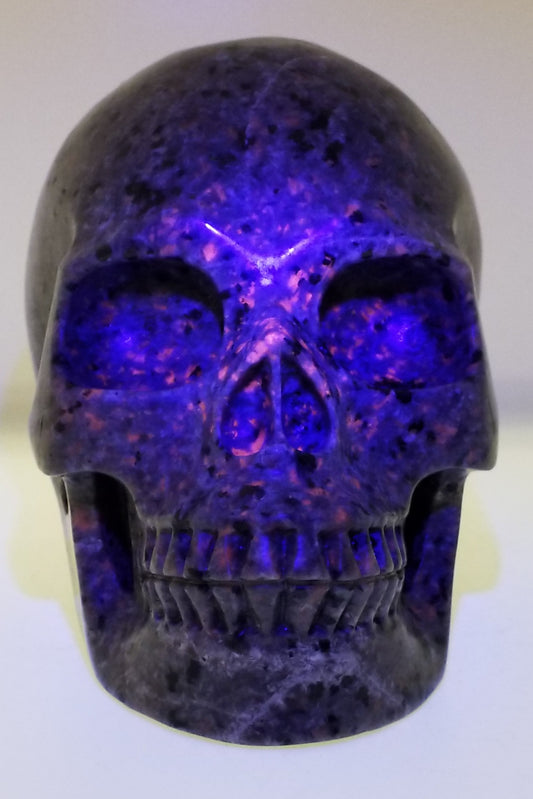 Yooperlite Skull  3.02lbs. #2