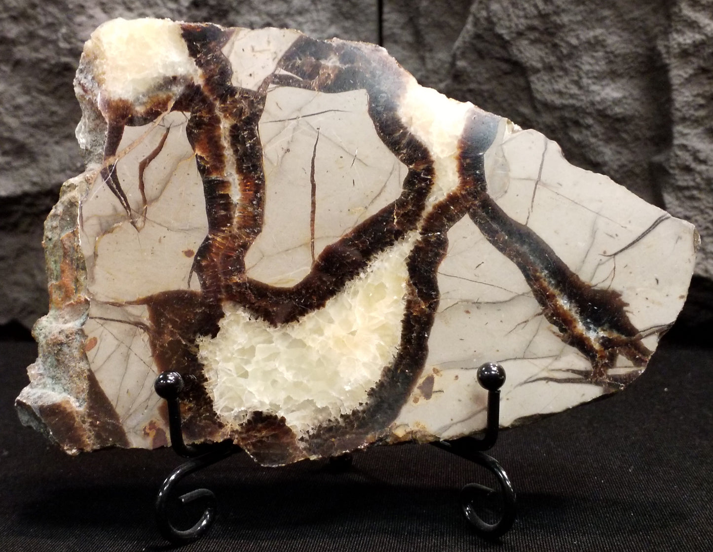 Septarian Slice #3 with stand