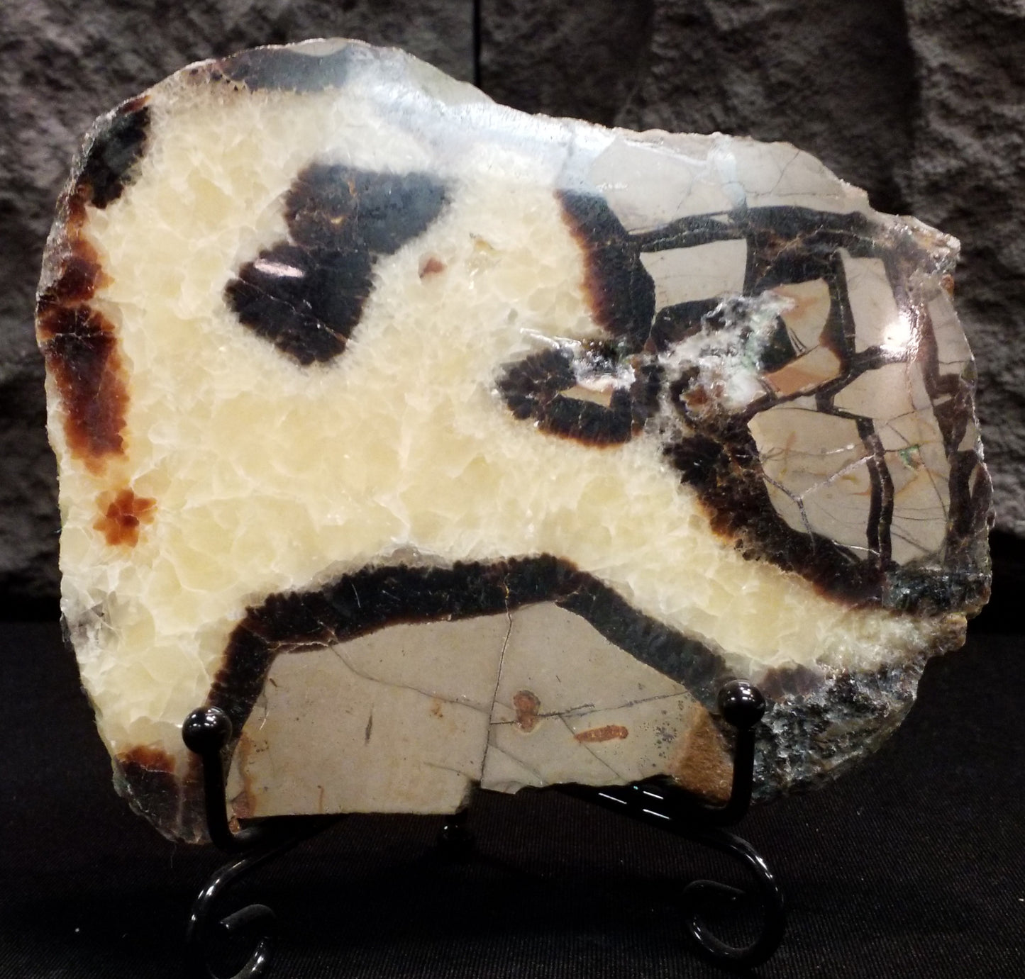 Septarian Slice #7 with stand