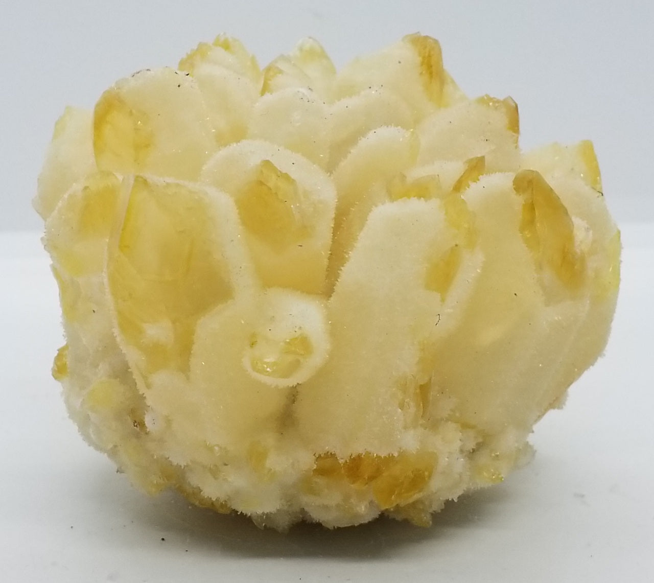 Yellow Orange Ghost Phantom Quartz Cluster #7