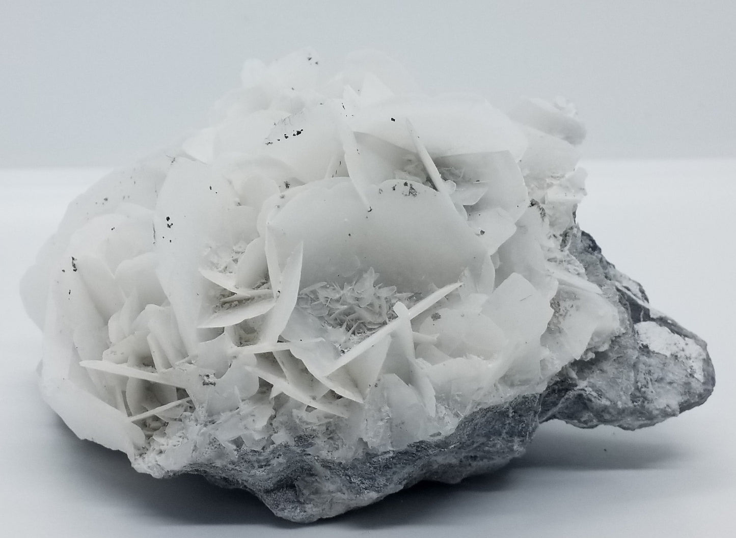 Calcite Flower Mineral Specimen #1