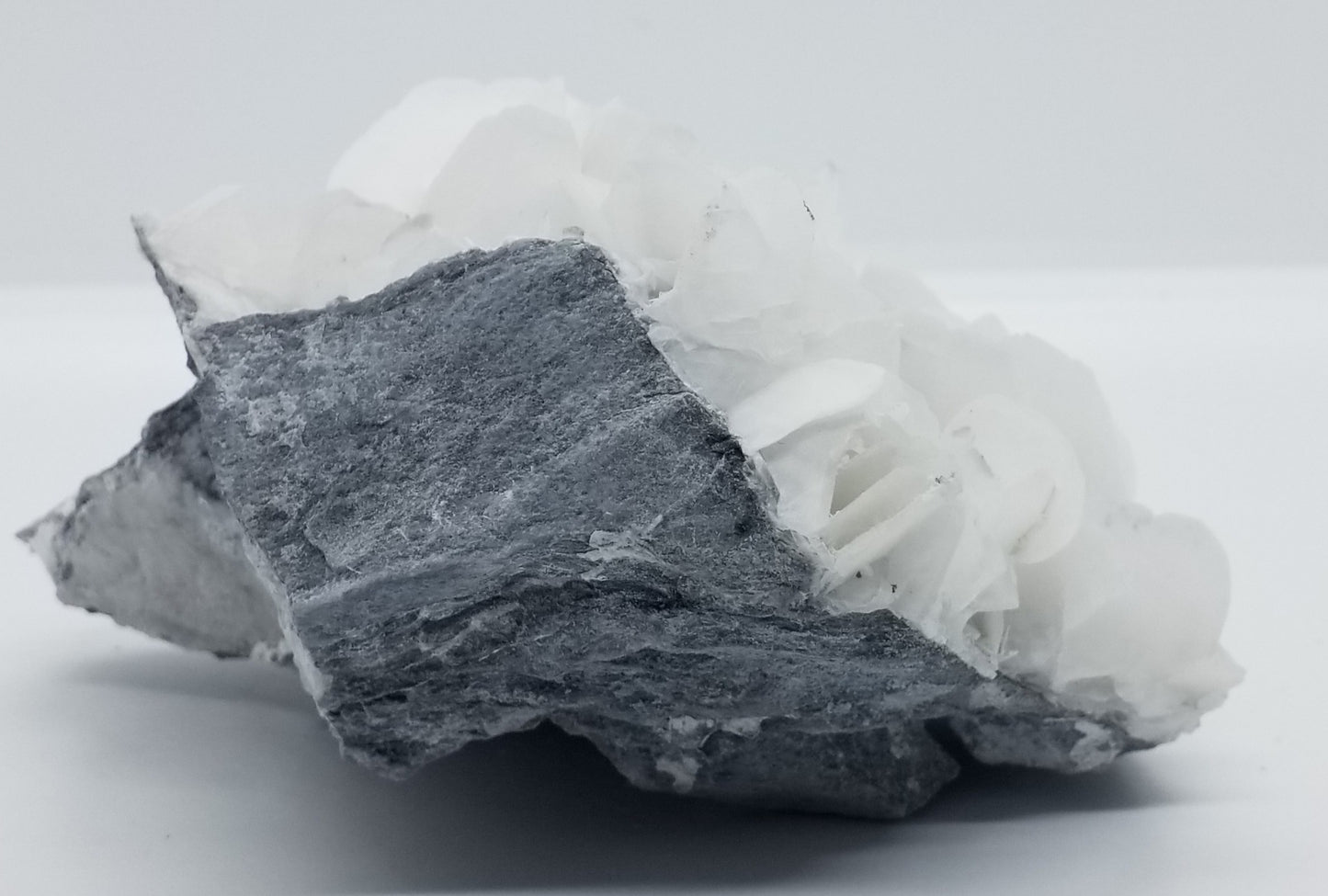 Calcite Flower Mineral Specimen #1