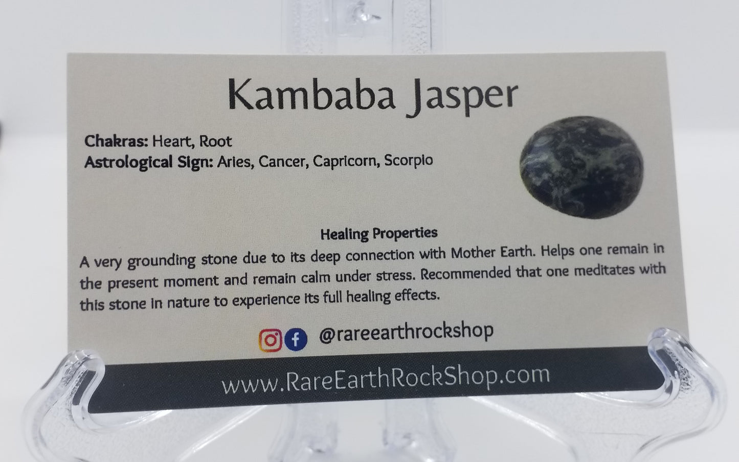 Kambaba Jasper Bracelet 8mm