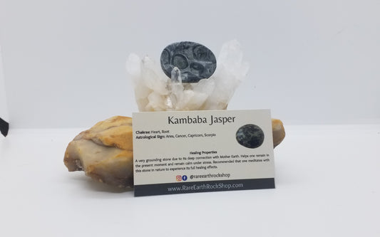 Kambaba Jasper Worry Stone