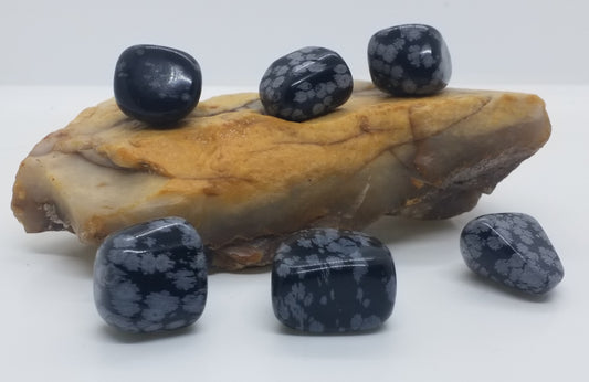 Snowflake Obsidian Tumbled Stone