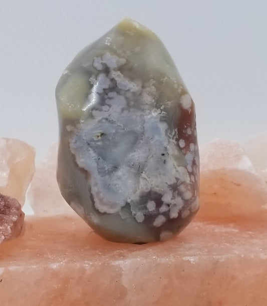 Flower Agate Flame #16