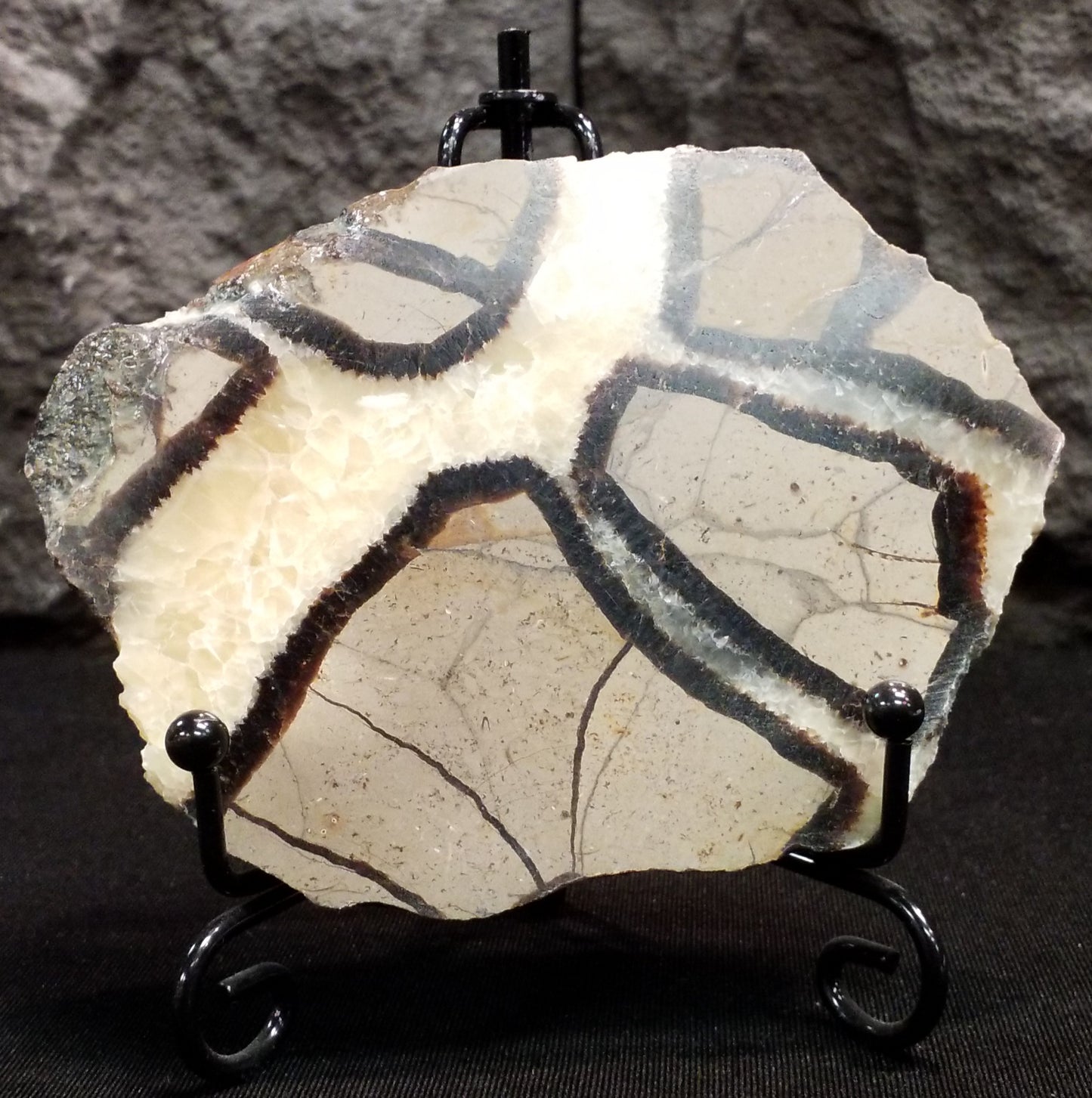 Septarian Slice #1 with stand