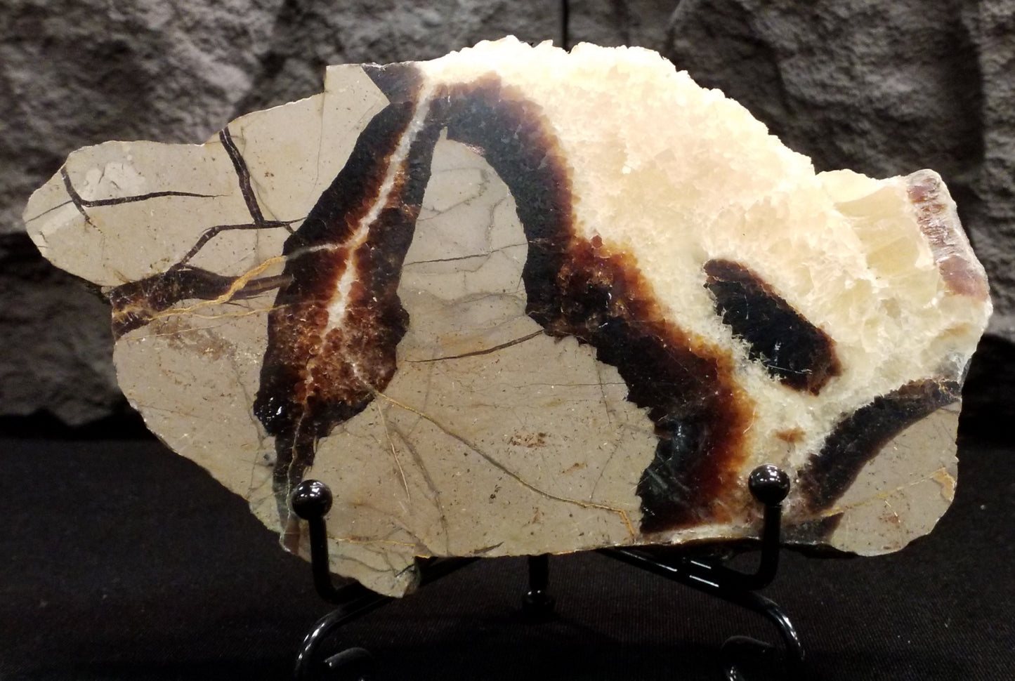 Septarian Slice # 2 with base