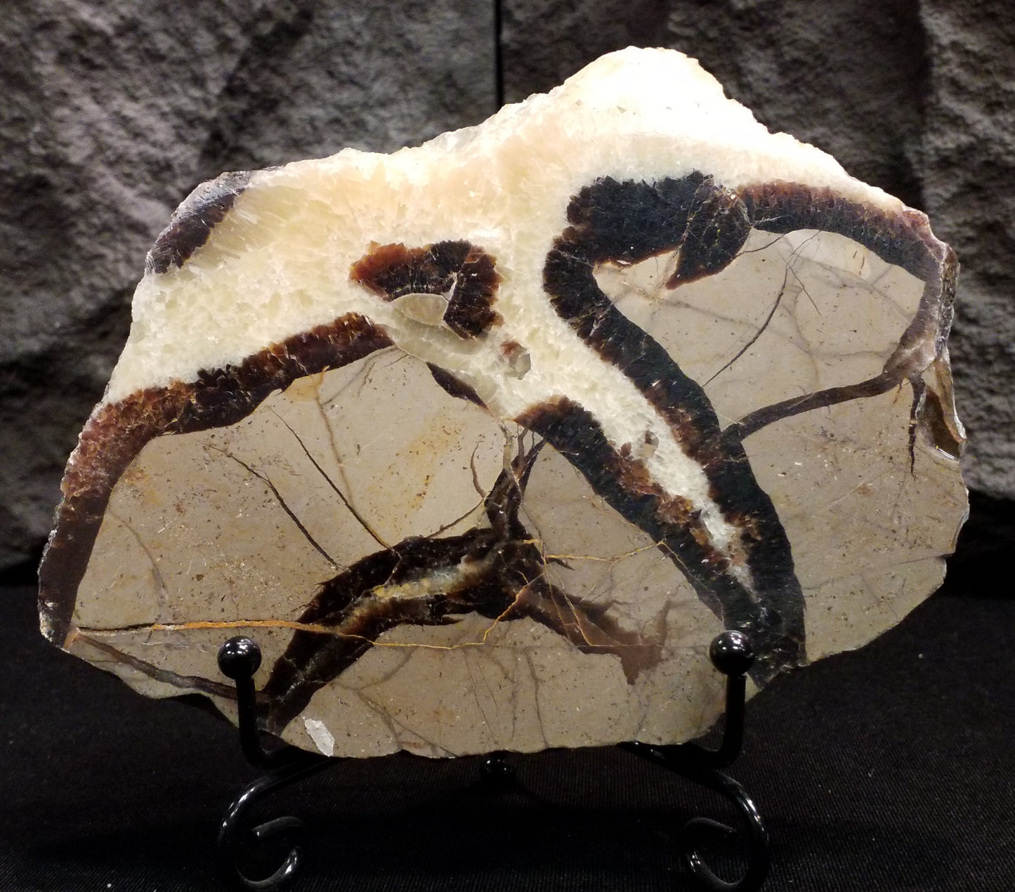 Septarian Slice #5 with stand