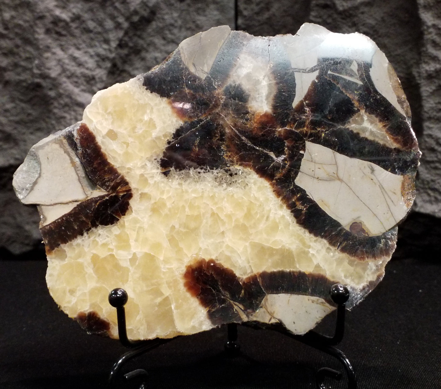 Septarian Slice #6 with stand