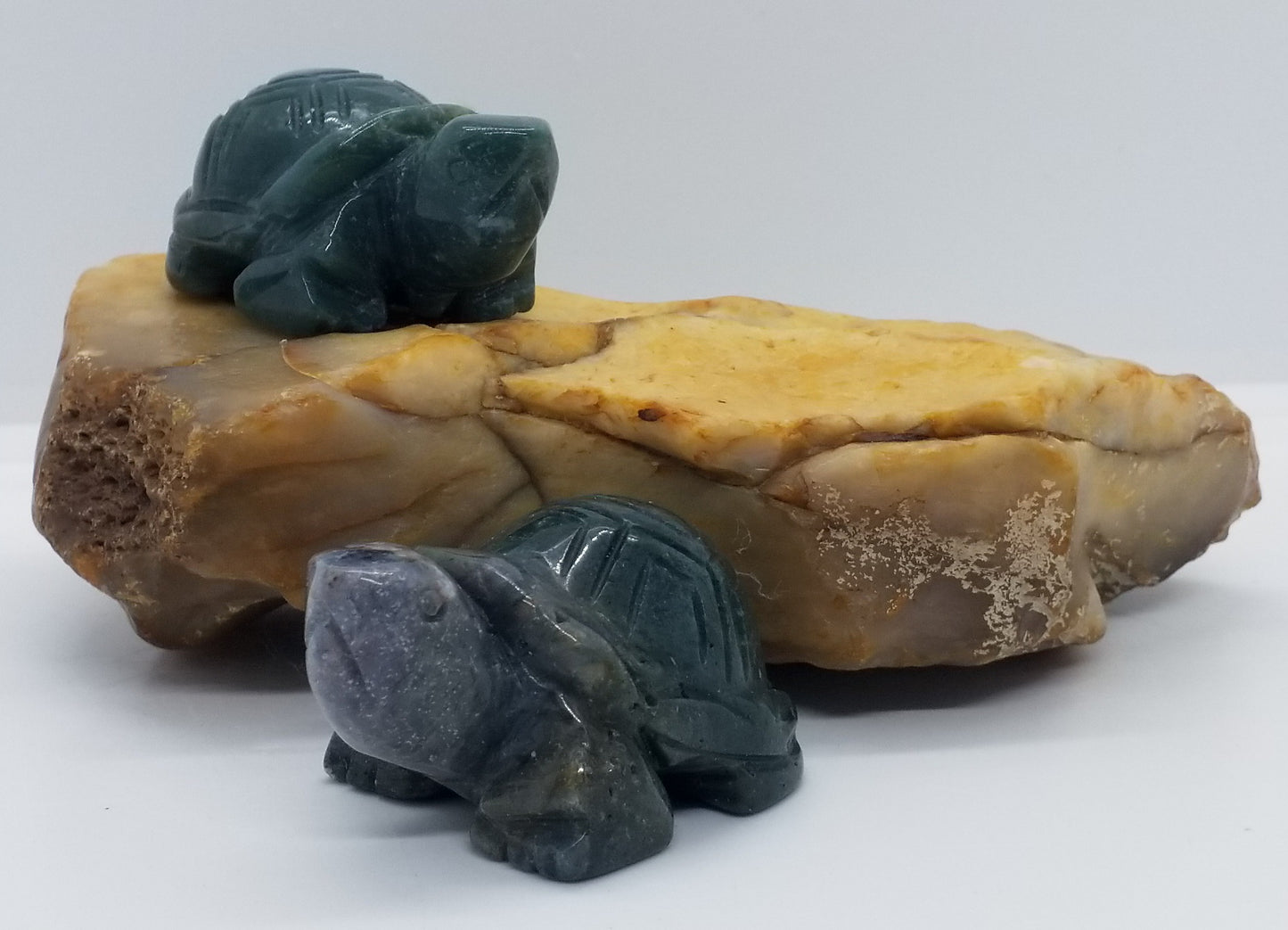 Indian Agate Turtle 2"
