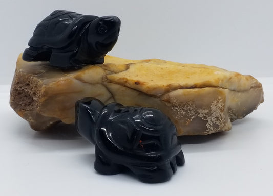 Black Obsidian Turtle 2"