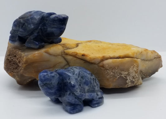 Sodalite Turtle 2"