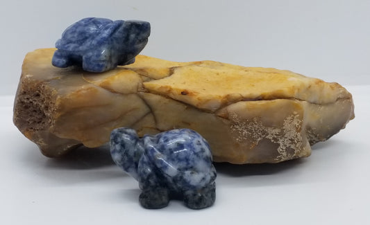 Sodalite Turtle 1.5"