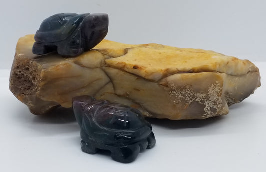 Indian Agate Turtle 1.5"