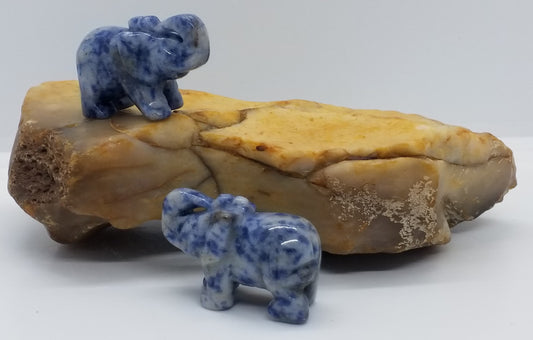 Sodalite Elephant 1.5"