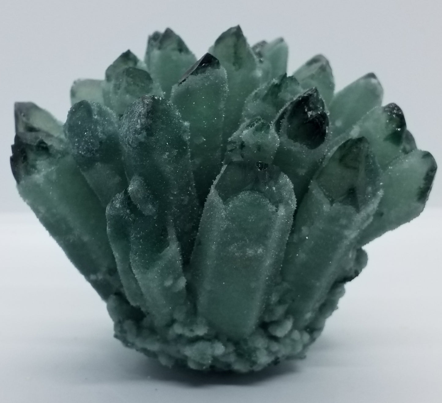 Green Ghost Phantom Quartz Cluster #1