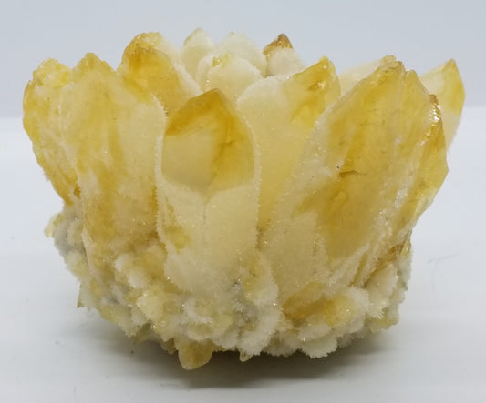 Yellow Orange Ghost Phantom Quartz Cluster #4