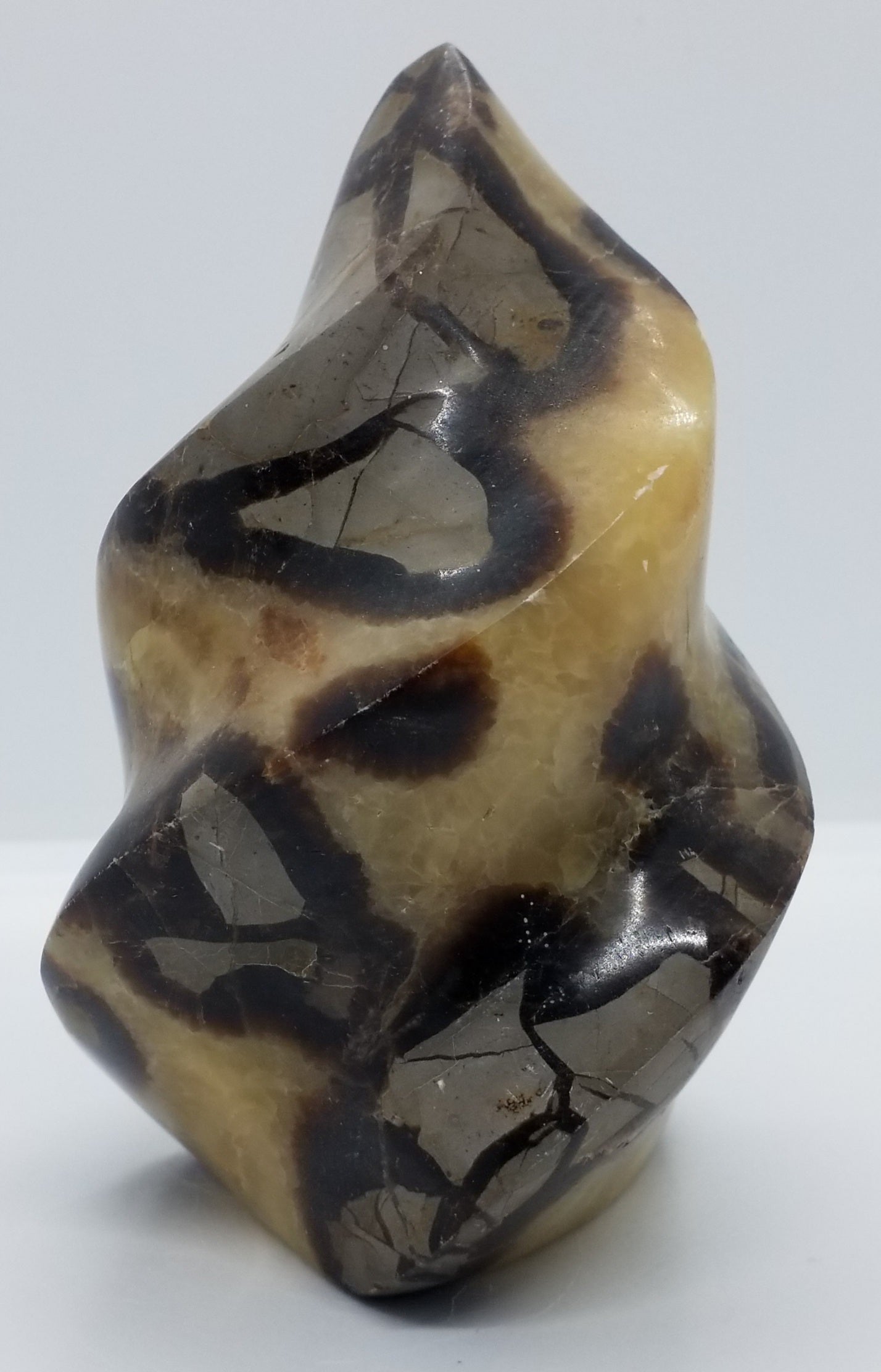 Septarian Flame #4