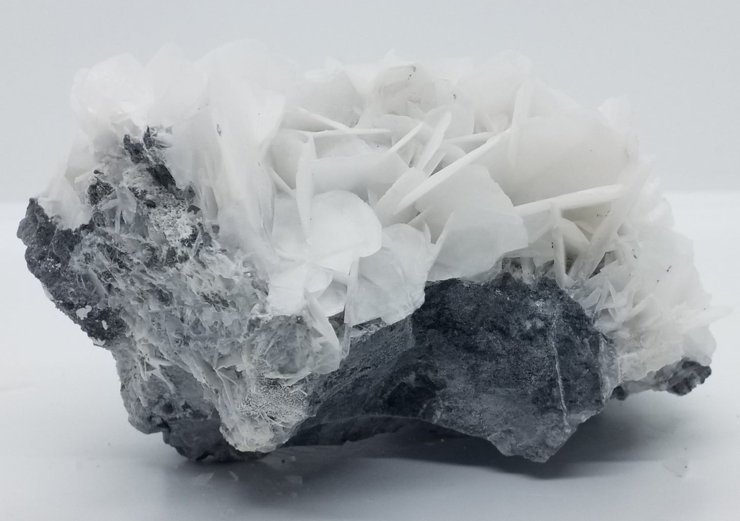 Calcite Flower Mineral Specimen #4